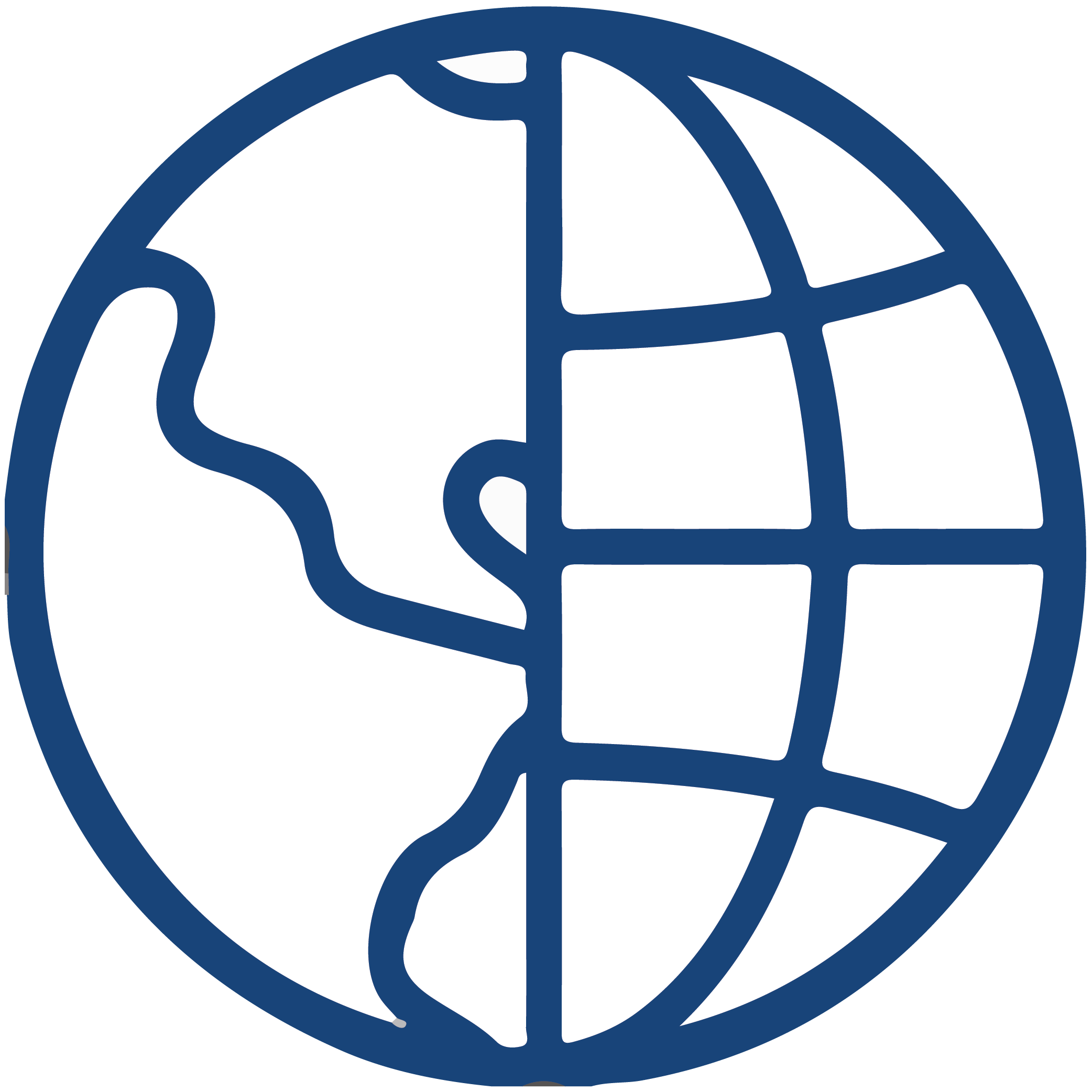 icon-global-01 (1)